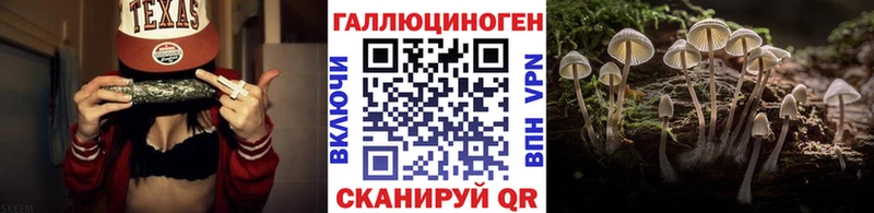 Псилоцибиновые грибы GOLDEN TEACHER хочу Аткарск